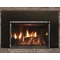Rushmore 30 TruFlame Direct Vent Fireplace Insert