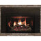 Rushmore 30 TruFlame Direct Vent Fireplace Insert