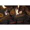 Solstice Traditional Vent Free Fireplace Insert