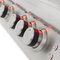Blaze 40" LTE Built-In Grill With Lights