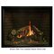 Rushmore 50 Inch TruFlame Direct Vent Fireplace