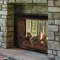 Rushmore 40-Inch See-Through Direct Vent Fireplace