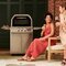 Blaze Portable Outdoor Pizza Oven