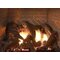Tahoe Luxury 36 Inch Direct Vent Fireplace