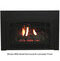 Innsbrook Large Clean Face Direct Vent Insert