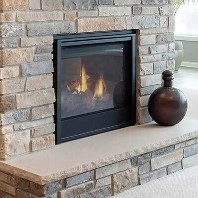See-Thru 36 Inch Direct Vent Fireplace by Majestic