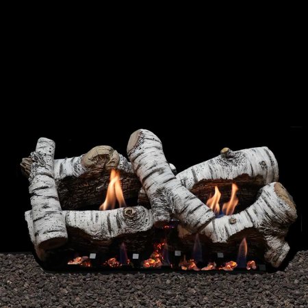 Empire Birch 24-Inch Remote Ready Vent Free Gas Logs