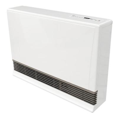 Rinnai EX38 Direct Vent Wall Furnace Heater