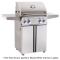 American Outdoor Grill 24" Portable
