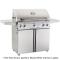 American Outdoor Grill 36" Portable