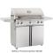 American Outdoor Grill 36" Portable
