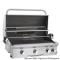 American Outdoor Grill 30" Built-In With Interior Lighting