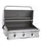 American Outdoor Grill 30" Built-In With Interior Lighting