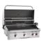 American Outdoor Grill 30" Built-In