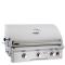 American Outdoor Grill 30" Built-In