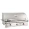 American Outdoor Grill 36" Built-In