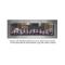 Napoleon Clearion Linear See-Through Electric Fireplace