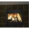 TWILIGHT II Indoor/Outdoor Fireplace