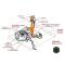 Electronic Ignition Gas Light Retro Kit