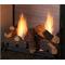 Ventfree See-Thru Fireplace with Multi-Side Log Set