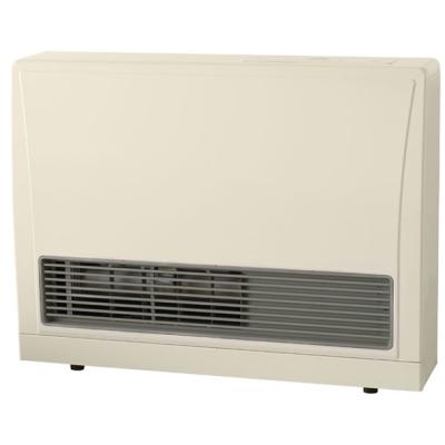 Rinnai EX22 Direct Vent Wall Furnace Heater
