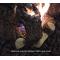 Outdoor Greatroom Sierra Fire Pit Table