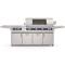 Fire Magic E1060s Echelon Portable Grill With Magic View Window & Analog Thermometer
