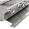 Blaze 34" Professional Series Built-In Grill