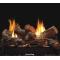 Vail See-Through Vent Free Fireplace System