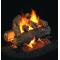 Real Fyre Golden Oak See-Thru Vented Log Set