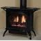 Empire Direct Vent Stove