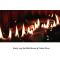 White Mountain Hearth 48" Boulevard Direct Vent Fireplace