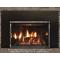 Rushmore 30 TruFlame Direct Vent Fireplace Insert