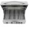 Blaze 32" LTE Built-In Grill With Lights