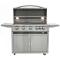Blaze 40" LTE Portable Cart Grill With Lights