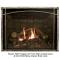 Rushmore 50 Inch TruFlame Direct Vent Fireplace