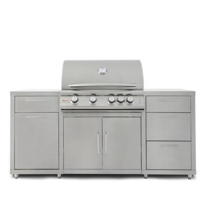 Blaze Grills LTE Stainless Steel Island Package