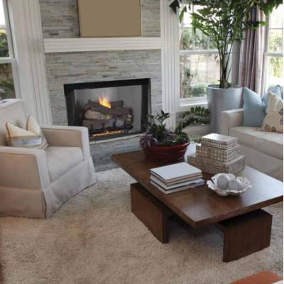 Superior Fireplaces 50 Vent Free Firebox