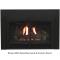 Innsbrook Large Clean Face Direct Vent Insert