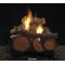 Vail Peninsula Vent Free Fireplace System