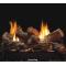 Vail Peninsula Vent Free Fireplace System