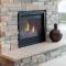 See-Thru 36 Inch Direct Vent Fireplace by Majestic