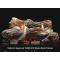 Empire Flint Hill 18" Remote Ready Vent Free Gas Logs