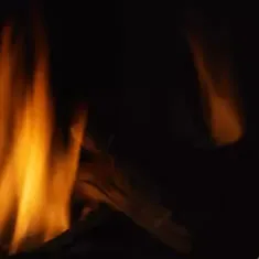 Majestic Reflective Black Glass