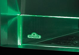 Green LED Light