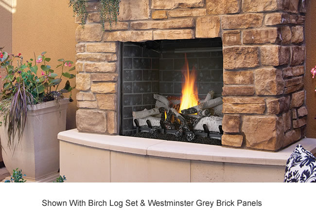 Napoleon Riverside 36 Clean Face Outdoor Fireplace Fine S Gas